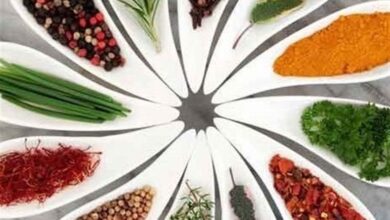 سایه سنگین مافیا بر سر زعفران و زیره/ سهم واقعی کشاورز چقدر است؟