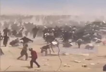 شهادت ۱۰ فلسطینی بر اثر خفگی در مرکز آمریکایی توزیع کمک در غزه!