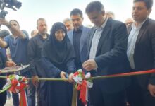 شینا انصاری: محیط‌ زیست مخالف توسعه نیست
