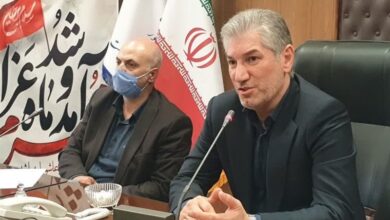 ضرب‌الاجل فرماندار پاکدشت برای تعیین محل نگهداری سگ‌های بلاصاحب