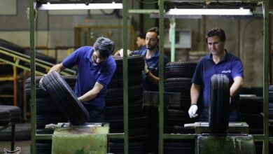 طلوعی نوین در خراسان جنوبی؛ الگویی ملی برای توسعه اشتغال و اقتصاد پایدار