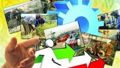 فعالیت 790 سازمان مردم‌نهاد در لرستان؛ صدور مجوز ‌برای فعالیت مردمی