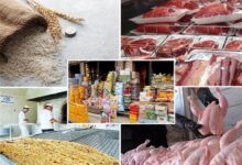 ممنوعیت خروج کالاهای اساسی و مدیریت هوشمند نهاده‌ها برای ثبات بازار
