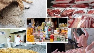 ممنوعیت خروج کالاهای اساسی و مدیریت هوشمند نهاده‌ها برای ثبات بازار