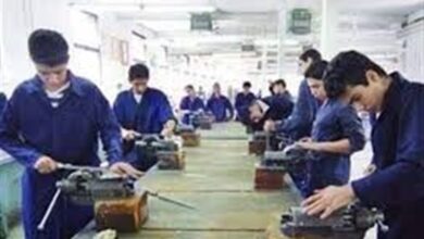 مهارت‌آموزی دانش‌آموزان در اولویت برنامه‌های تابستانی قرار گیرد