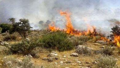نبرد با شعله‌ها در قلب ابر؛ اعزام اضطراری آتش‌نشانان شهرداری شاهرود به جنگل سوخته