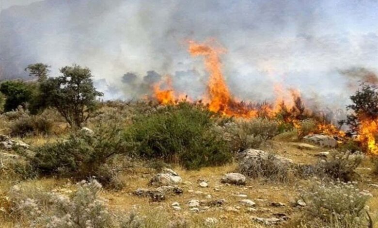 نبرد با شعله‌ها در قلب ابر؛ اعزام اضطراری آتش‌نشانان شهرداری شاهرود به جنگل سوخته