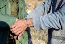 نجات بز وحشی از تله مرگ در میبد