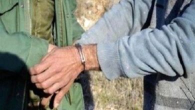 نجات بز وحشی از تله مرگ در میبد