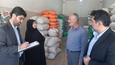 هشدار تعزیرات همدان به بنکداران گرانفروش برنج وارداتی