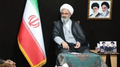 ولایت فقیه و استقلال ملی ستون‌های نظام‌ هستند