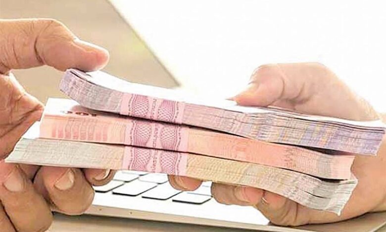 پرداخت 93 میلیارد تسهیلات مشاغل خانگی در ایلام