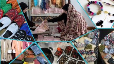 پرداخت تسهیلات به 267 طرح مشاغل خانگی در خراسان جنوبی