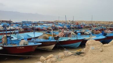 پروژه اسکله تفریحی صیادی بندر دیر به حال خود رها شده است+تصویر