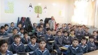 پوشش 25 هزار دانش‌آموز هرمزگانی در طرح ملی «حامی»