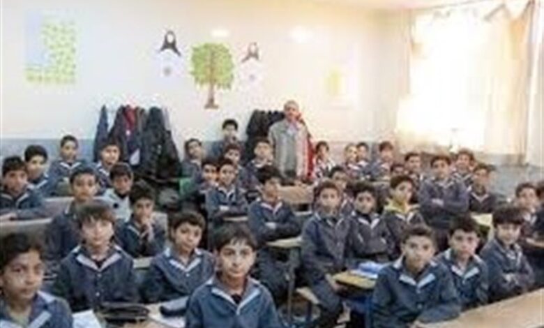 پوشش 25 هزار دانش‌آموز هرمزگانی در طرح ملی «حامی»