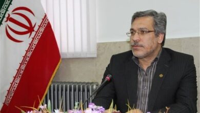 پوشش بیمه‌ای یک میلیون و 31 هزار نفر در هرمزگان/ خدمات غیرحضوری تأمین اجتماعی به 80 درصد رسید
