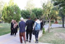 کرمانشاه در بحران معتادان متجاهر؛ 7000 نفر و یک مرکز ناکافی!