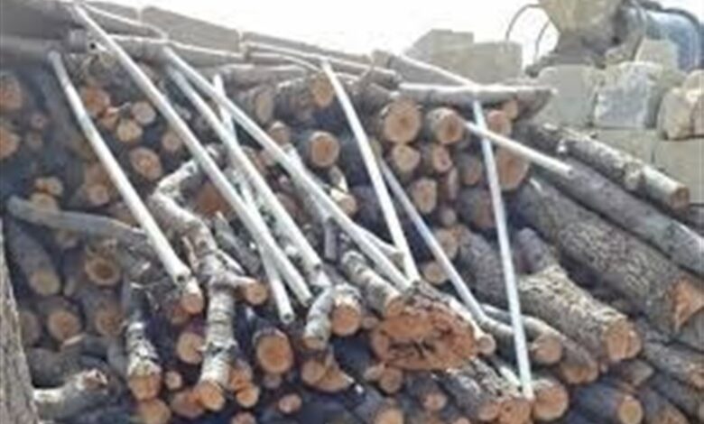 کشف 57 هزار تن هیزم در اردبیل