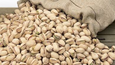 کشف و توقیف 900 کیلوگرم پسته جنگلی قاچاق در صالح‌آباد