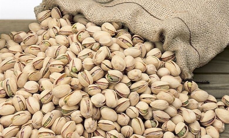 کشف و توقیف 900 کیلوگرم پسته جنگلی قاچاق در صالح‌آباد