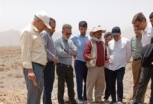 کشف گورستانی ‌دور‌ه اشکانی در بهاباد با 1793 قبر‌/باستان‌شناسان چه می‌گویند؟