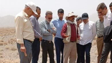 کشف گورستانی ‌دور‌ه اشکانی در بهاباد با 1793 قبر‌/باستان‌شناسان چه می‌گویند؟