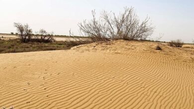 گرد و غبار قم تهدیدی برای پایتخت در آینده نزدیک است