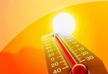 گرمازدگی 50کوهنورد در کردستان