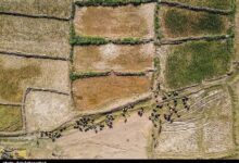 گلستان در محاصره خشکسالی/ بحران آب از هشدار گذشت