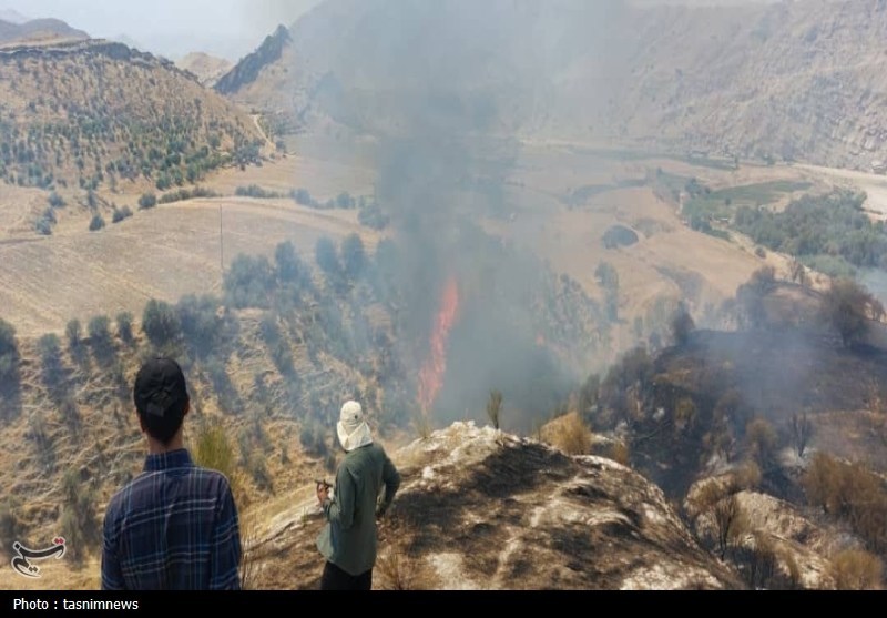 جنگل , آتش سوزی جنگل ها و مراتع , 