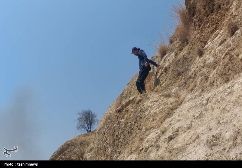 جنگل , آتش سوزی جنگل ها و مراتع , 
