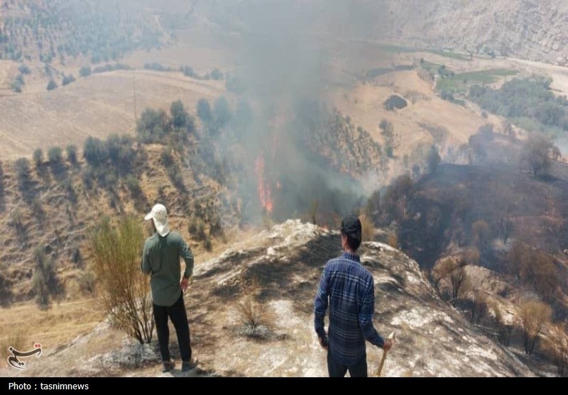 جنگل , آتش سوزی جنگل ها و مراتع , 