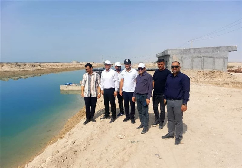 آغاز طرح پایلوت کنترل بیماری AHPND در مزارع میگو استان بوشهر