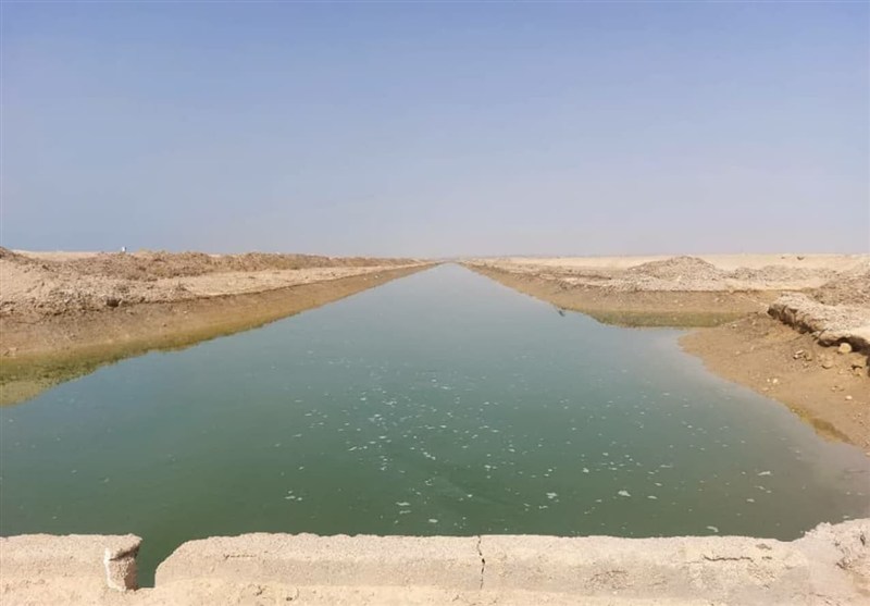 آغاز طرح پایلوت کنترل بیماری AHPND در مزارع میگو استان بوشهر