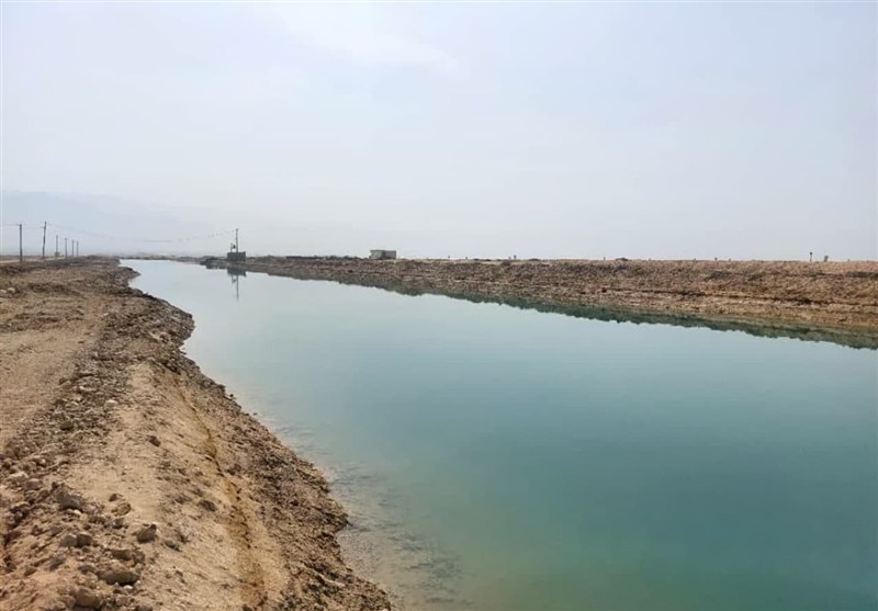 آغاز طرح پایلوت کنترل بیماری AHPND در مزارع میگو استان بوشهر