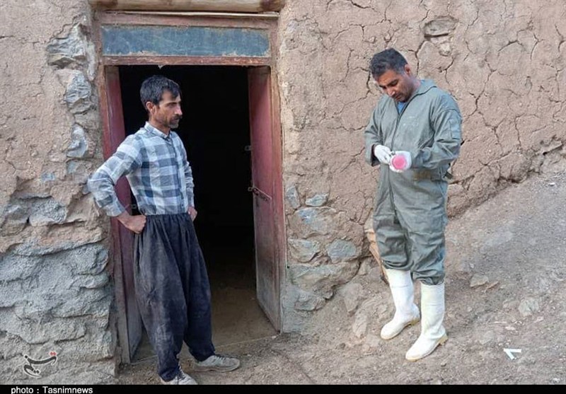 ارائه خدمات دامپزشکی رایگان در روستای کیلانه سنندج+تصویر