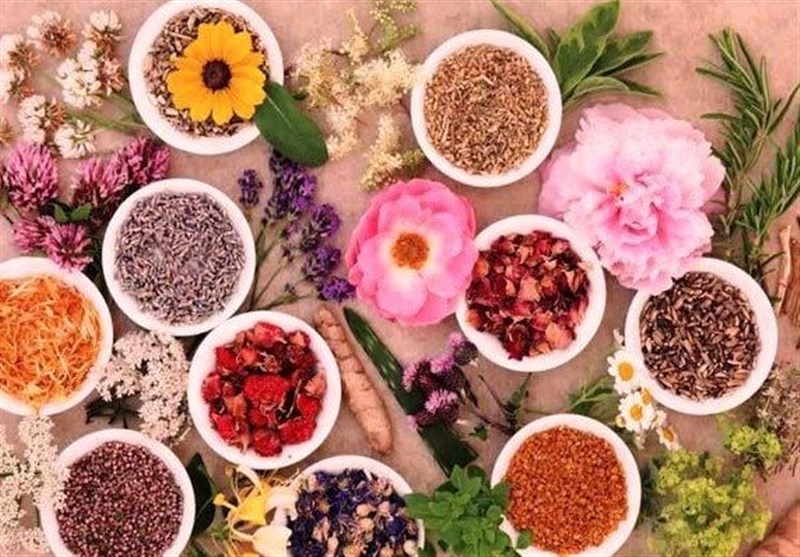 ستاد توسعه اقتصاد دانش‌بنیان گیاهان دارویی و طب سنتی , دارو , 