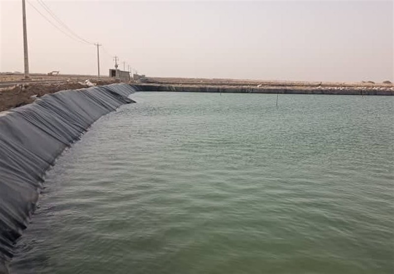 امسال 8 پروژه حوزه شیلات در زمینه پرورش میگو در شهرستان گناوه به بهره‌برداری می رسد
