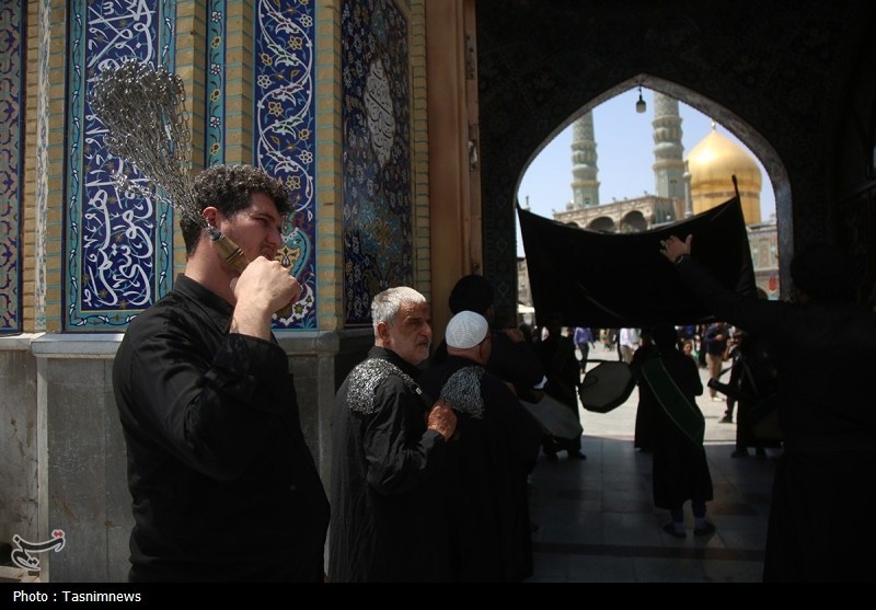 حال و هوای حرم حضرت معصومه(س) در سالروز شهادت امام حسن(ع)+ تصویر