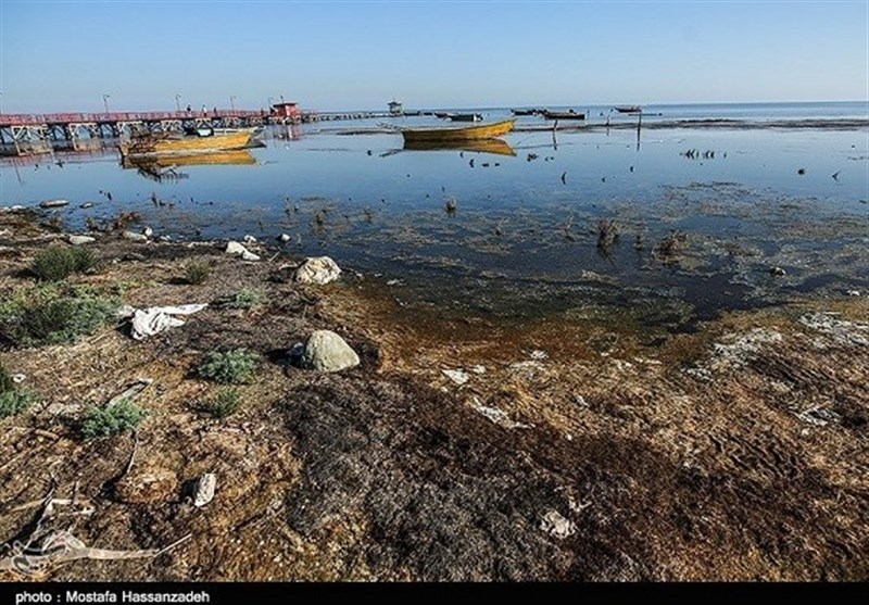 خاکسپاری خلیج‌گرگان نزدیک‌تر شد/کَک دولت دوازدهم نگزید/ پزشکیان تعلل می‌کند!