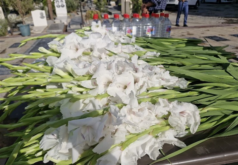 خون شهدا عزت، استقلال و وحدت را برای ایران بیمه کرد