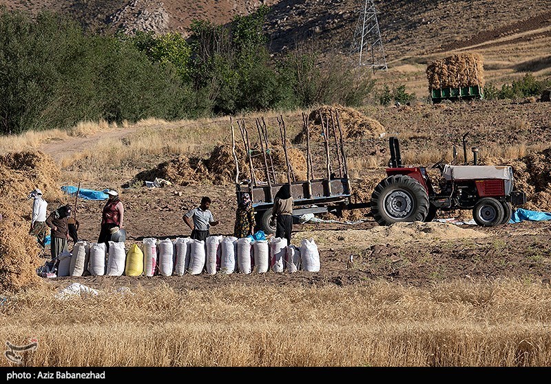 استان لرستان , کشاورزی , 