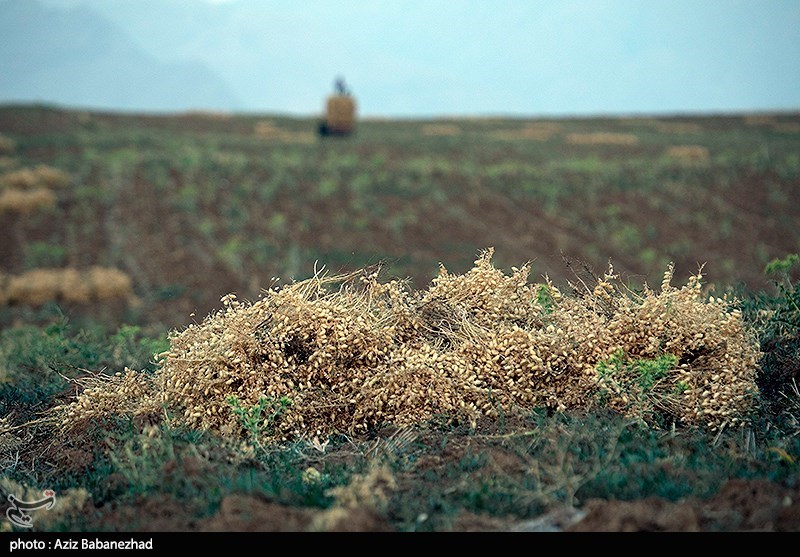 استان لرستان , کشاورزی , 