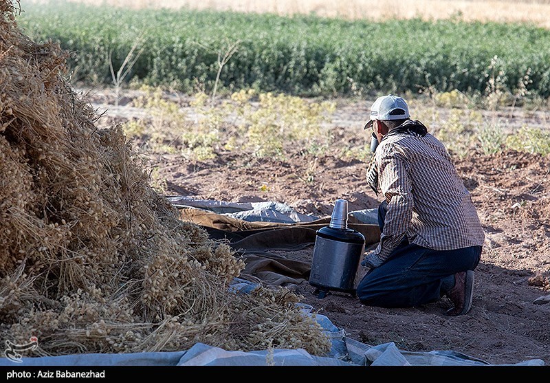 استان لرستان , کشاورزی , 