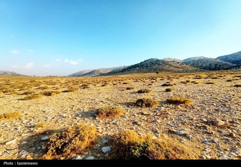سرگچینه؛ کوچ تدریجی عشایر در سایه بی‌توجهی به زیرساخت‌ها+تصاویر