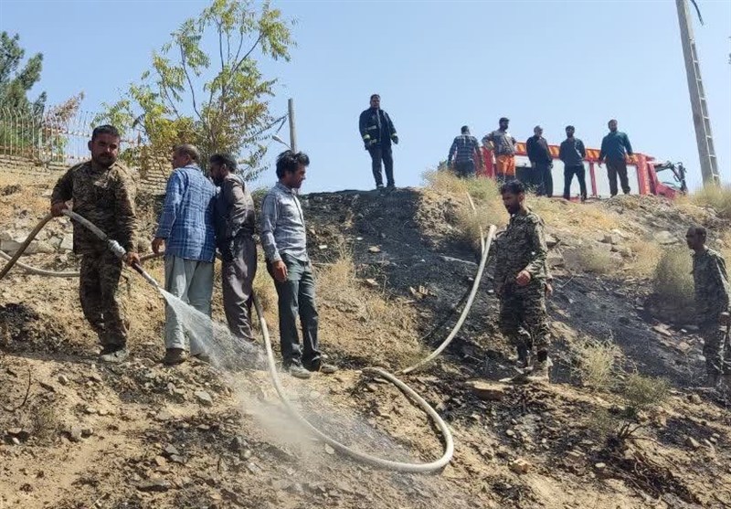شیطنت کودکان و درختان خشک در پارک جنگلی صالح آباد حادثه ساز شد