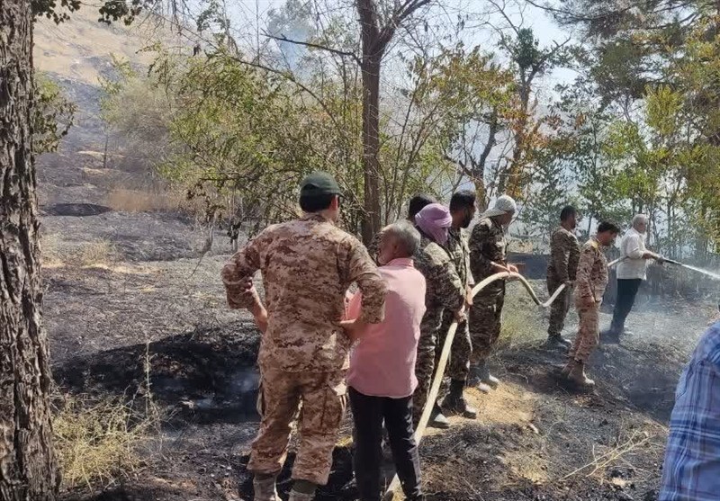 شیطنت کودکان و درختان خشک در پارک جنگلی صالح آباد حادثه ساز شد