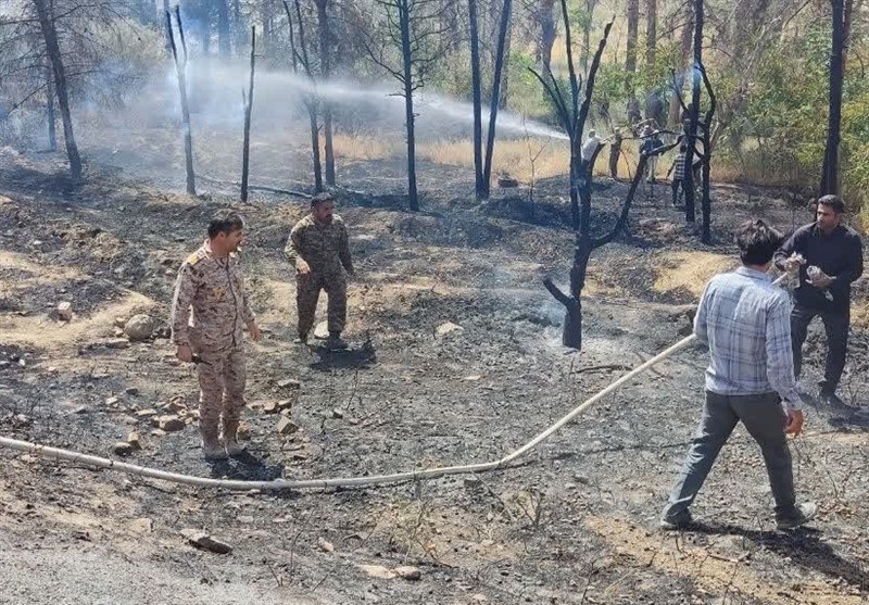 شیطنت کودکان و درختان خشک در پارک جنگلی صالح آباد حادثه ساز شد
