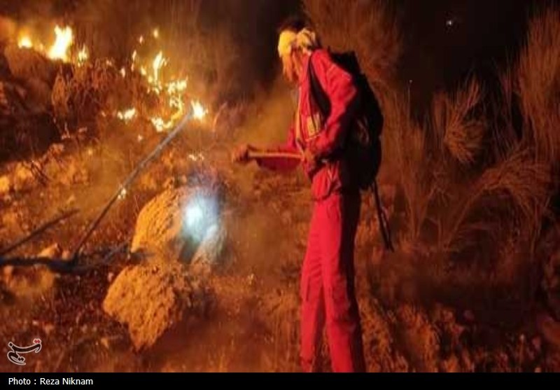 مهار بیش از 70 درصد آتش منطقه کوهستانی گیسکان دشتستان+تصویر